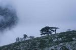 Albanien_2023-04-25_11-57-47_DxO3