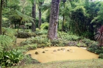20170815 165249 Azoren Furnas