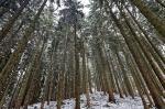 Bad Kohlgrub 2016 01 04 11 33 19