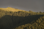 BadKohlgrub 2024 08 12 20 02 06