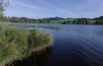 Badkohlgrub 2025 08 26 18 11 33