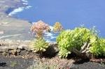 ElHierro_20110503_104824_DxO