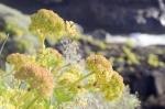 ElHierro_20110514_190307_DxO