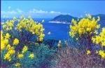 Elba_2000_017_DxO