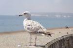England  20130724 143815