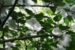 England  20130726 164532