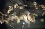 Herbst Winter 2001 012