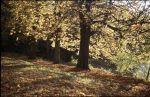 Herbst Winter 2001 014