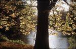 Herbst Winter 2001 020