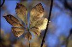 Herbst Winter 2001 026