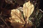 Herbst Winter 2001 028