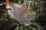 Herbst Winter 2001 048