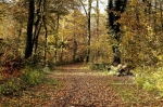 Herbst 2021 11 09 15 41 03 DxO