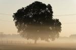 Herbst 2018 09 28 06 50 41 DxO