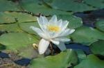 Sommer 2014 09 001