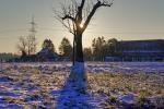 ReilingenWinter 2021 02 12 09 15 46 DxOHigh