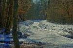 ReilingenWinter 2021 02 14 13 37 56 DxOHigh
