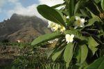 LaGomera_2004__0298