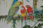 LaGomera_2004__0817
