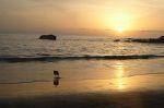 LaGomera_2004__0968