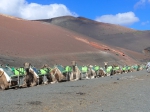 20151124 115155 Kanaren Timanfaya