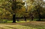 Luisenpark_2021-11-01_16-23-44_DxO