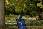 Luisenpark_2021-11-01_16-35-38_DxO