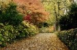 Luisenpark_2021-11-01_16-49-39_DxO