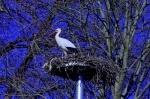 Luisenpark_2022-02-27_15-14-32_DxO
