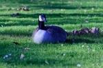 Luisenpark_2022-02-27_15-15-30_DxO