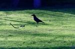 Luisenpark_2022-02-27_15-56-40_DxO