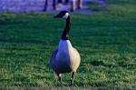 Luisenpark_2022-02-27_17-34-25_DxO