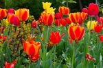 Luisenpark 2025 04 13 12 11 54