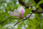 Luisenpark 2025 04 13 12 16 34