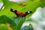 Luisenpark 2025 04 13 14 59 49