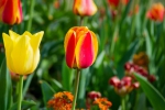 Luisenpark 2025 04 13 15 22 09