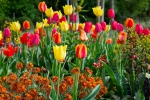 Luisenpark 2025 04 13 15 22 25