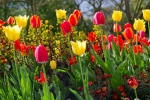 Luisenpark 2025 04 13 15 25 01