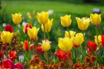 Luisenpark 2025 04 13 15 26 03 02