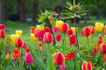 Luisenpark 2025 04 13 15 27 44
