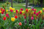 Luisenpark 2025 04 13 15 28 04