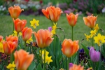 Luisenpark 2025 04 13 15 29 49
