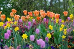 Luisenpark 2025 04 13 15 30 47
