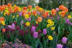 Luisenpark 2025 04 13 18 31 14