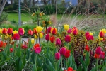 Luisenpark 2025 04 13 18 32 36