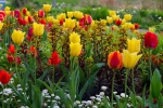 Luisenpark 2025 04 13 18 32 59