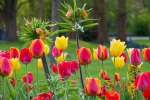 Luisenpark 2025 04 13 18 33 20