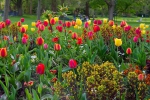 Luisenpark 2025 04 13 18 33 50