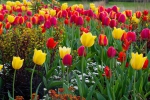Luisenpark 2025 04 13 18 34 10