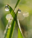 20140311 084511 Frühling 2